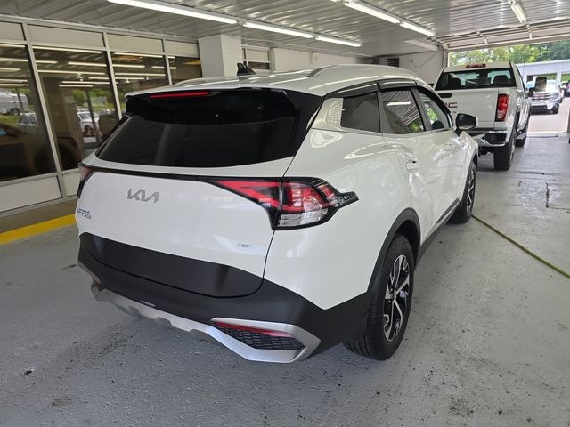 2023 Kia Sportage Hybrid Photo in Staunton, VA 24401