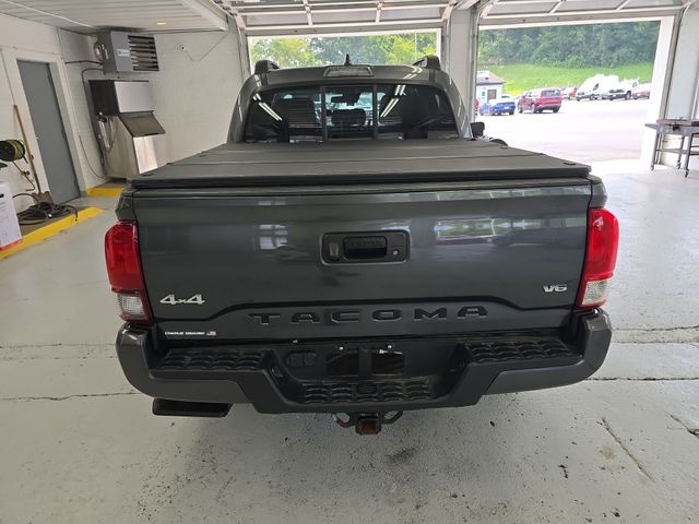 2023 Toyota Tacoma Photo in Danville, KY 40422