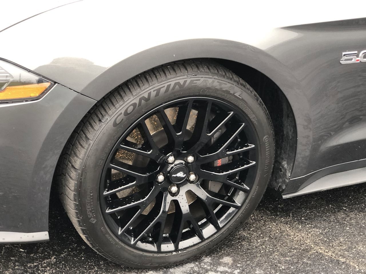 2020 Ford Mustang Photo in Danville, KY 40422